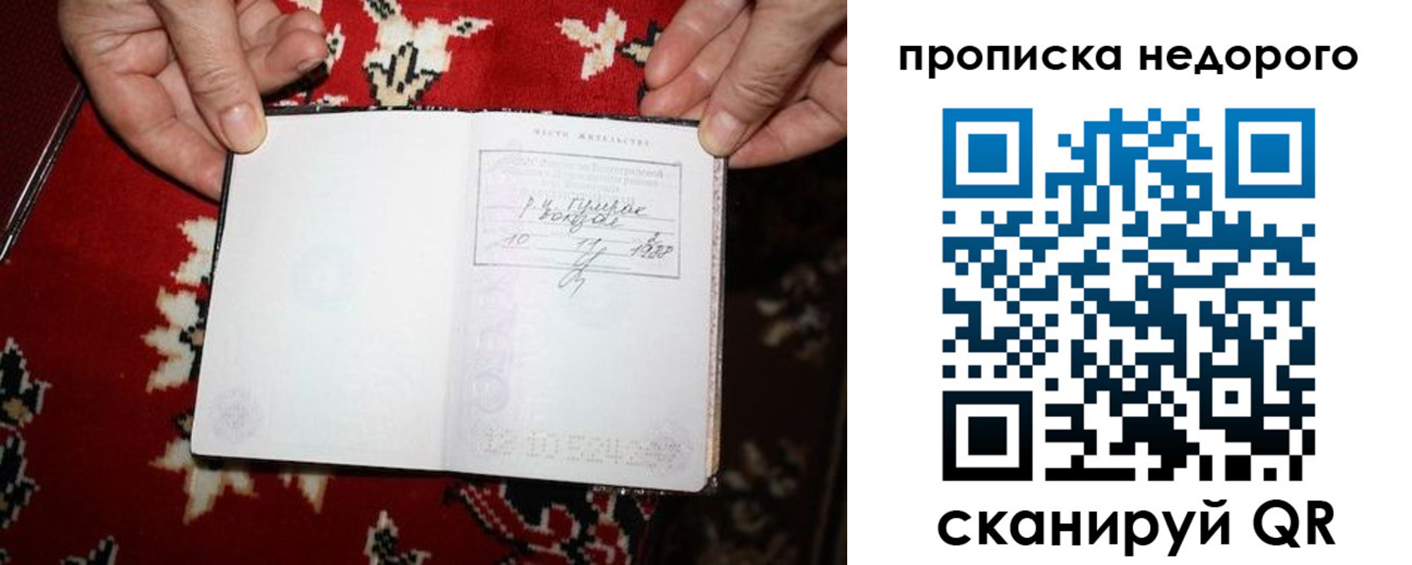 прописка гарантия в Лосино-Петровском